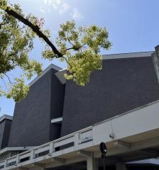岡山市民会館