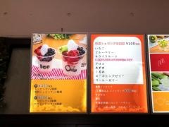 アイス・オアシス