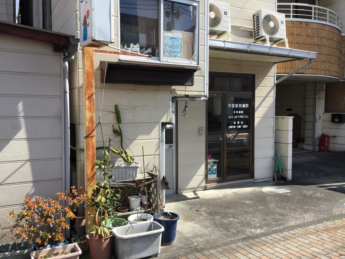 平郡動物病院
