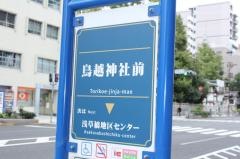 「鳥越神社前」バス停留所