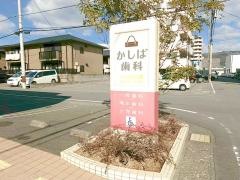 かしば歯科