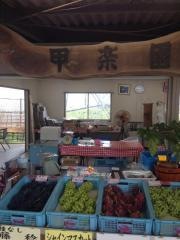 甲楽園