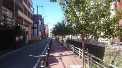 池町川緑道