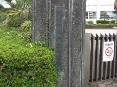 丹生小学校