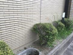 いそがいクリニック