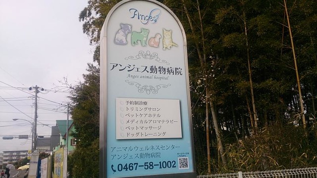 施設写真15
