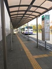 「桜区役所」バス停留所