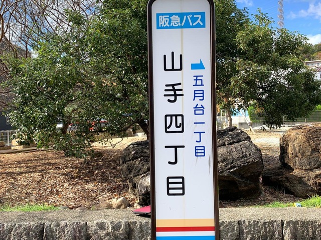 投稿写真4