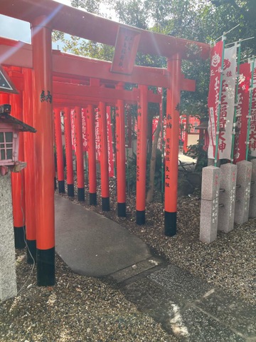投稿写真6