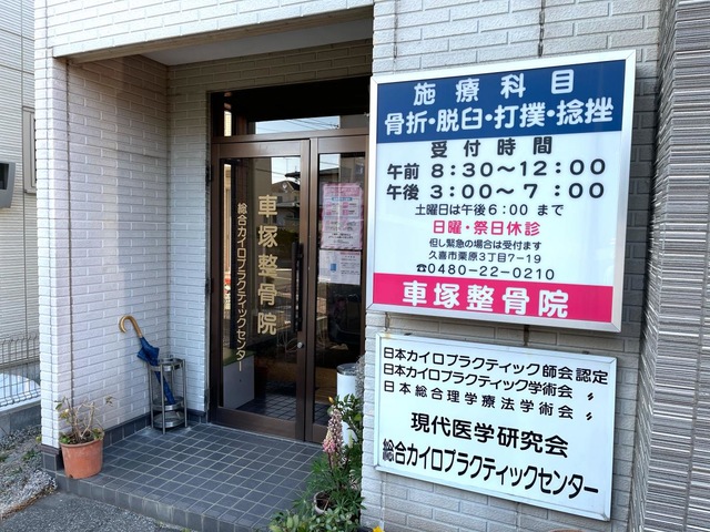 カイロプラクティック総覧 カイロプラクティック・テクニック総覧(新版) | D.Peterson/T.Bergmann