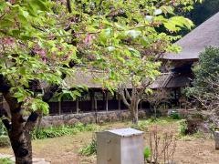 大雄寺