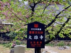 大雄寺