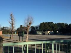 逆井小学校