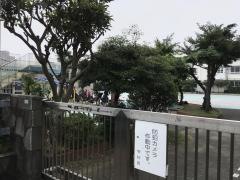 大杉小学校