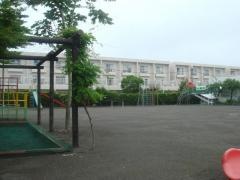 並木幼稚園