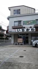 エビのいちかわ