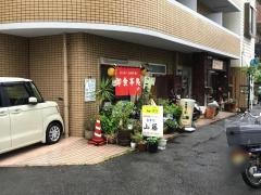 山藤