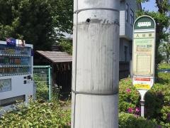 「入谷東」バス停留所