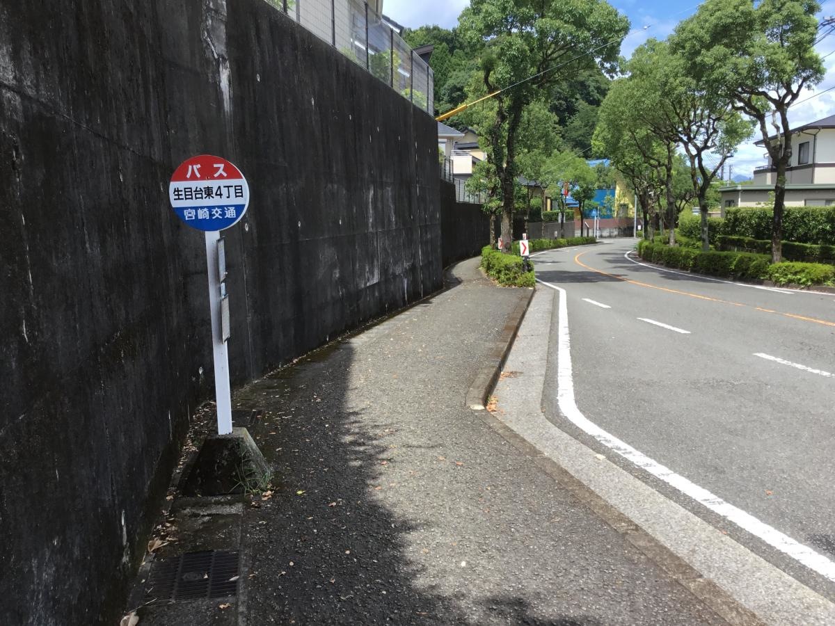 全景です。