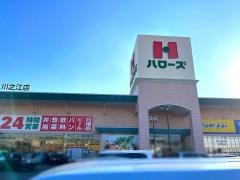 ハローズ 川之江店
