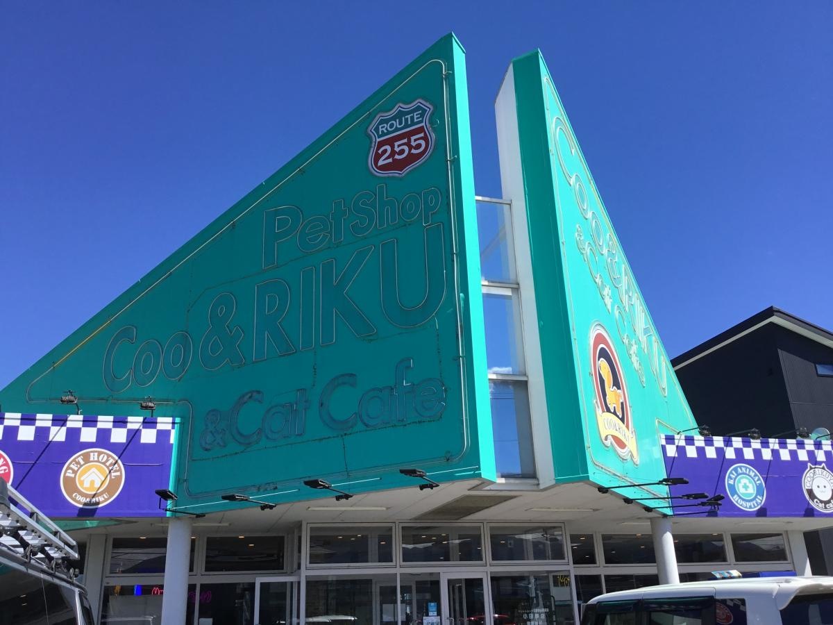 クーリク
