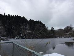 山田北前町緑地