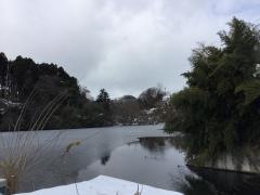 山田北前町緑地