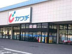 カワチ薬品　藤岡店