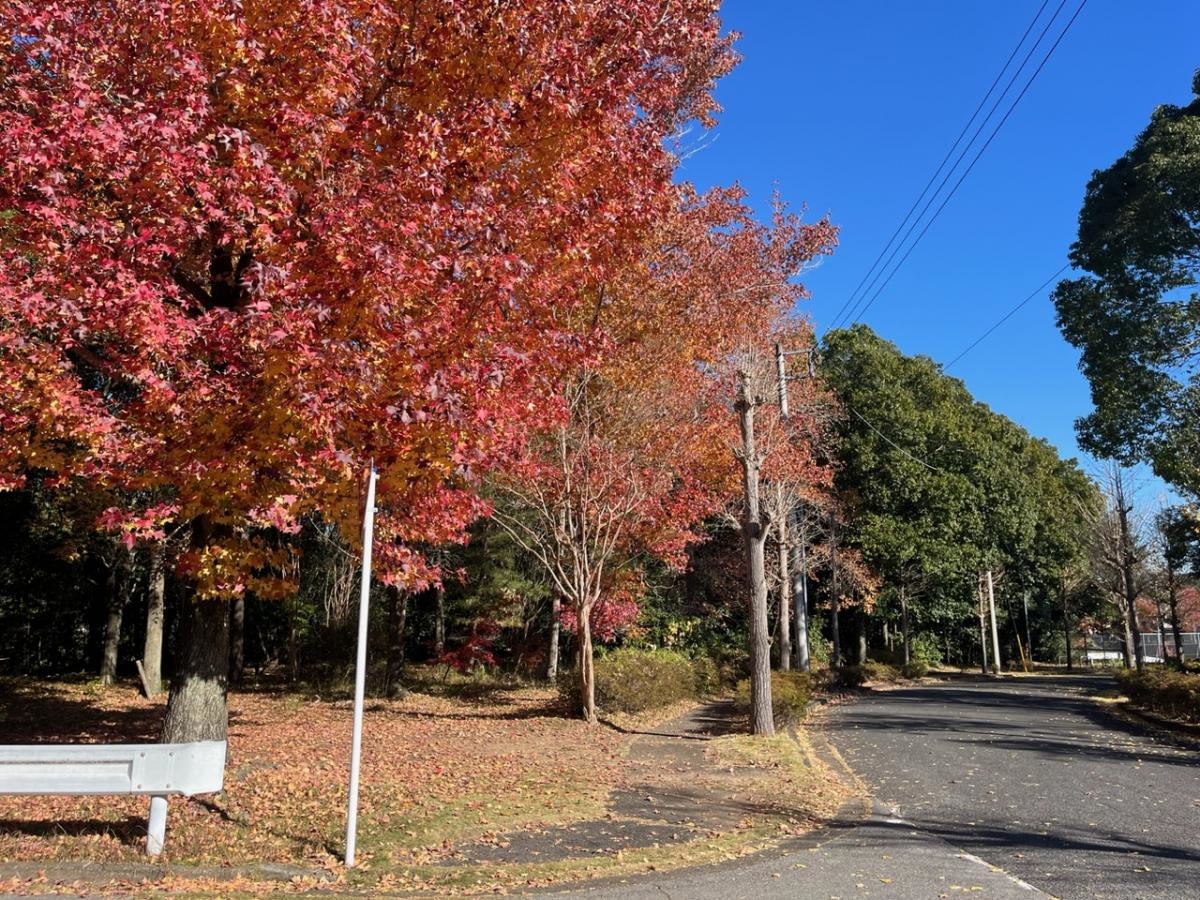 宮前二号緑地