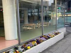 神奈川ダイハツ販売本社ショールーム