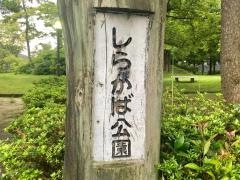 しらかば公園
