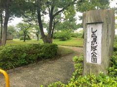 しらかば公園