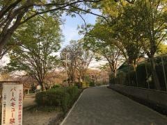 さくら近隣公園