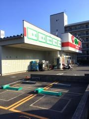 くすりのレデイ南観音店