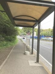 「市民の森入口」バス停留所