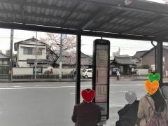 「出町柳駅前」バス停留所