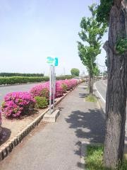 「ダンバラ公園前」バス停留所