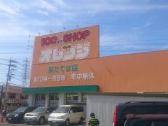 オレンジ　泉たてば店