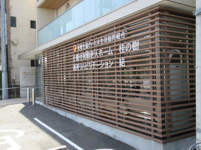 桂の樹