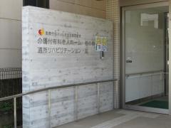 桂の樹