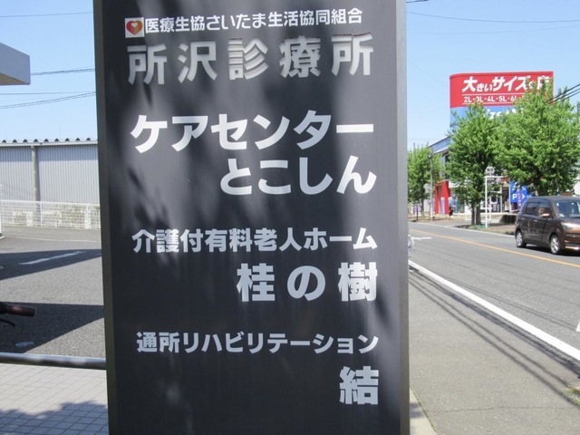 桂の樹