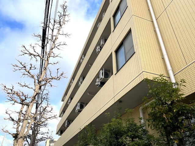 外観。
