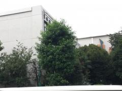 多摩美術大学　上野毛キャンパス