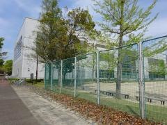 敦賀市総合運動公園体育館