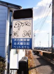 ビューティーランド