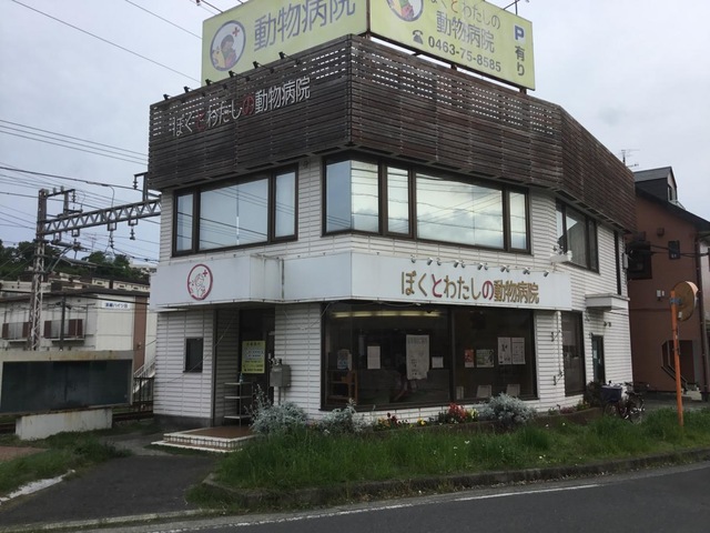 投稿写真6
