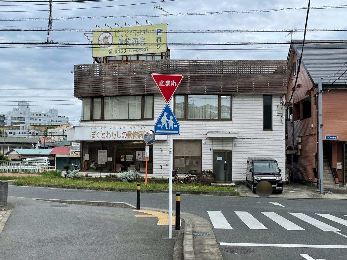 ぼくとわたしの動物病院