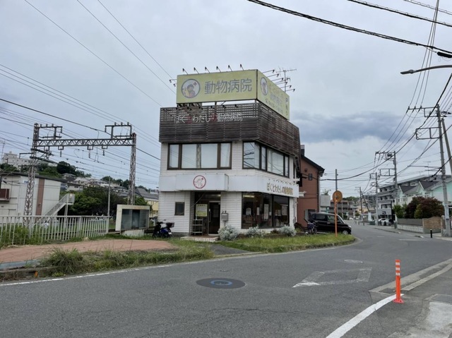 投稿写真1