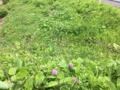 川平三丁目緑地