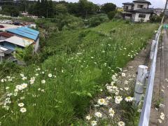 川平三丁目緑地